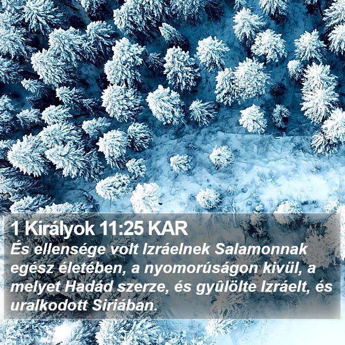 1 Királyok 11:25 KAR Bible Study