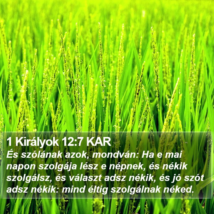 1 Királyok 12:7 KAR Bible Study