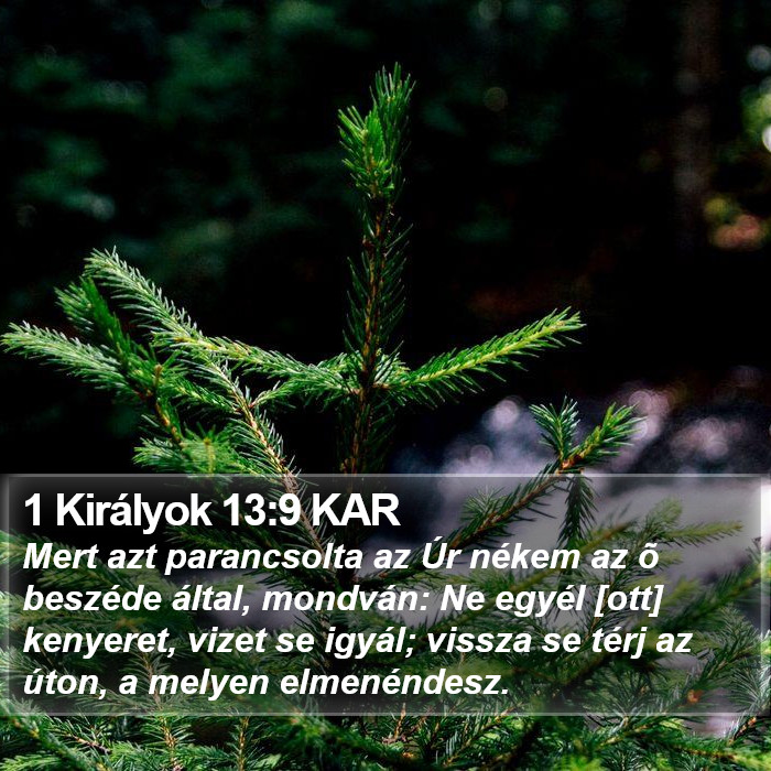 1 Királyok 13:9 KAR Bible Study