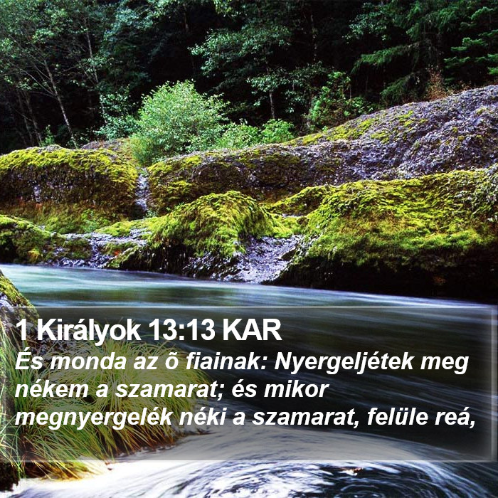 1 Királyok 13:13 KAR Bible Study
