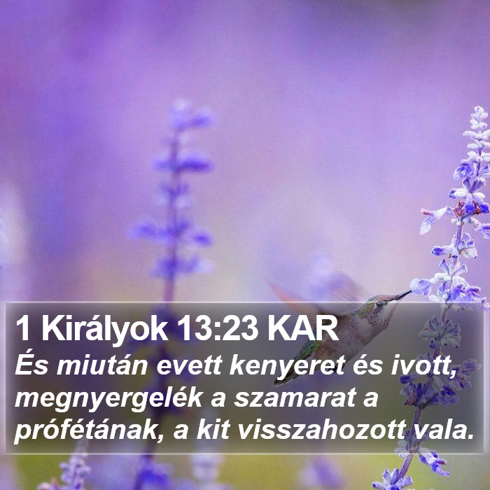 1 Királyok 13:23 KAR Bible Study