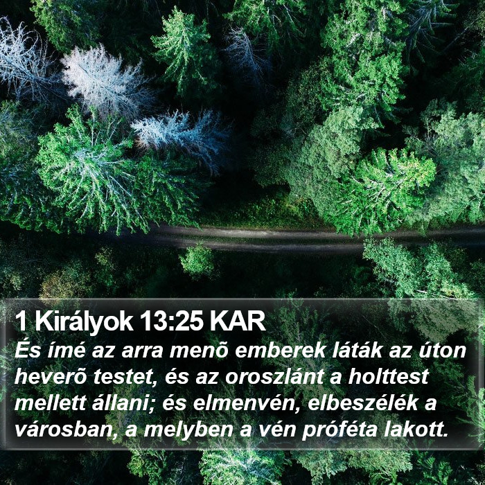 1 Királyok 13:25 KAR Bible Study