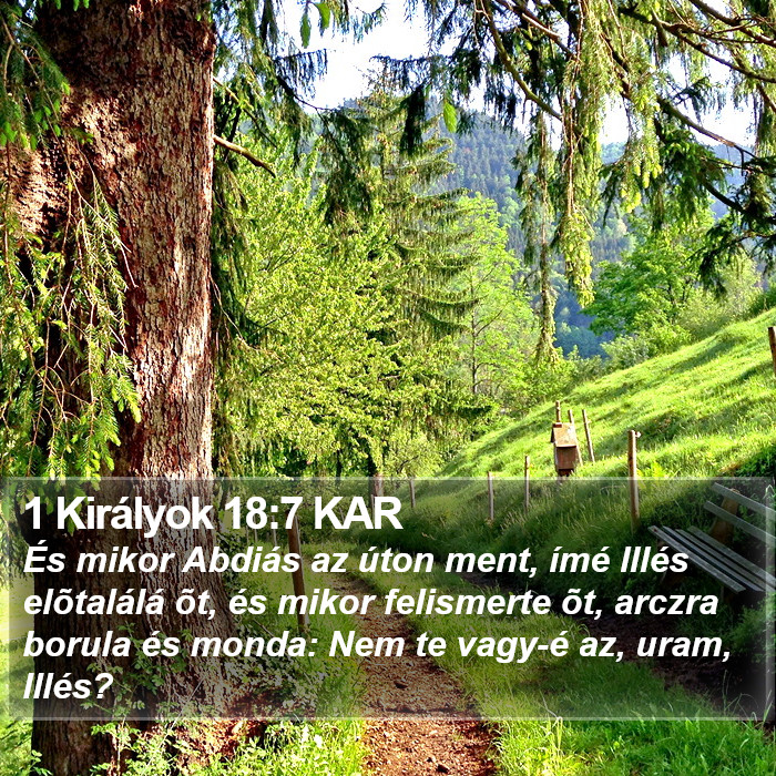 1 Királyok 18:7 KAR Bible Study