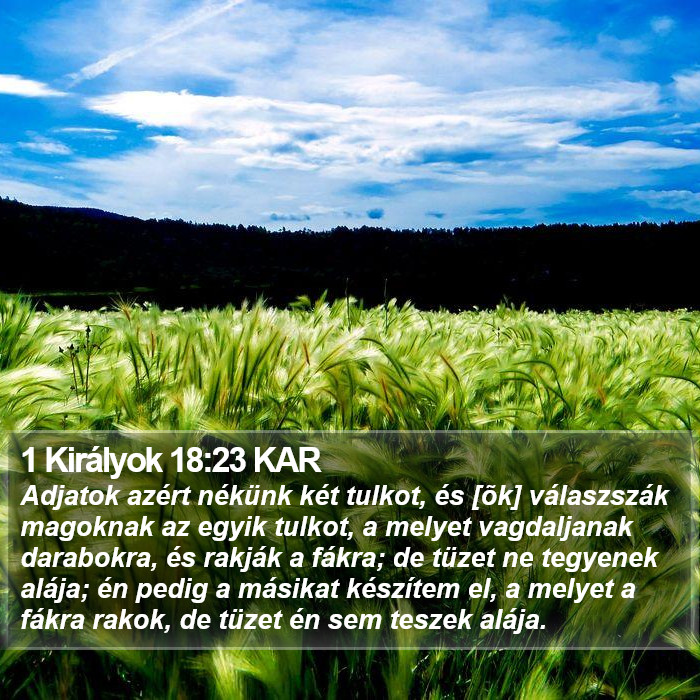 1 Királyok 18:23 KAR Bible Study