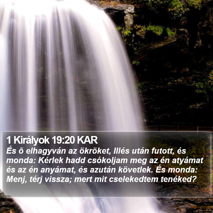 1 Királyok 19:20 KAR Bible Study