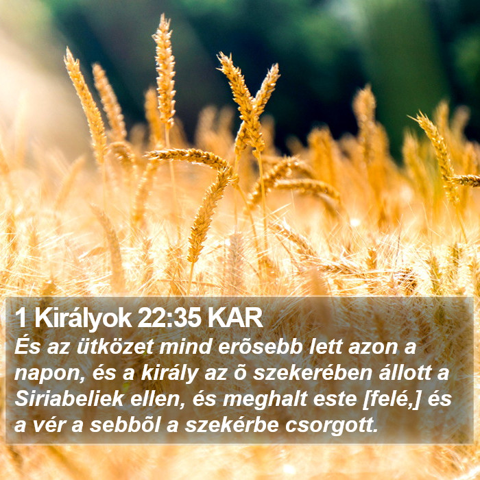 1 Királyok 22:35 KAR Bible Study