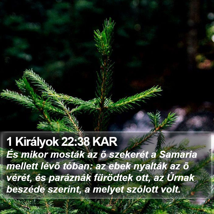 1 Királyok 22:38 KAR Bible Study