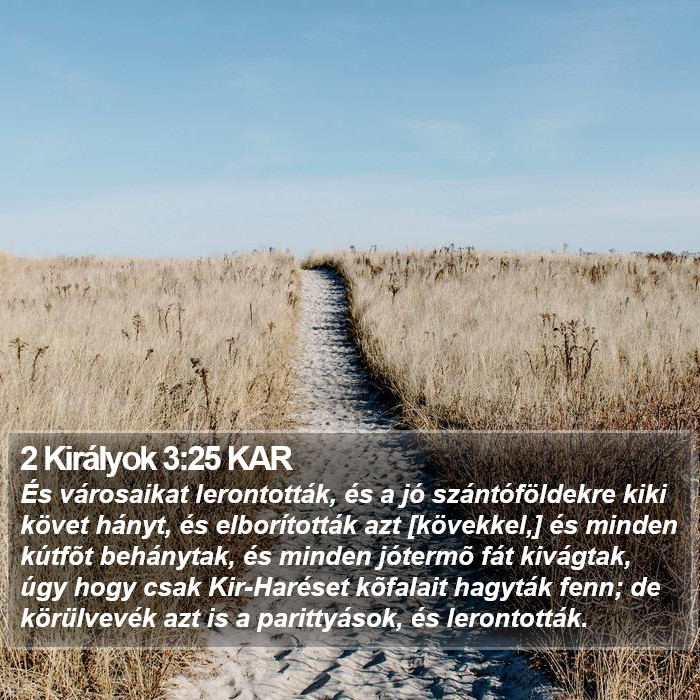 2 Királyok 3:25 KAR Bible Study