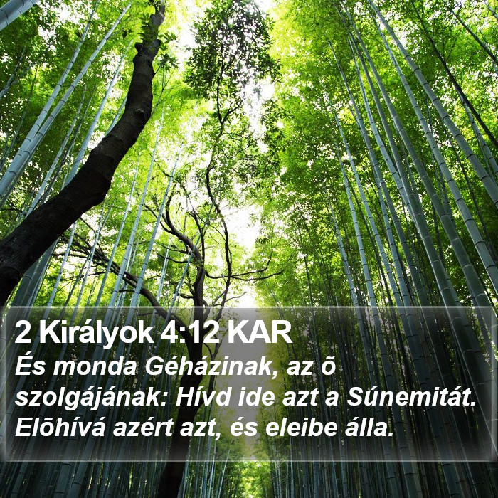 2 Királyok 4:12 KAR Bible Study