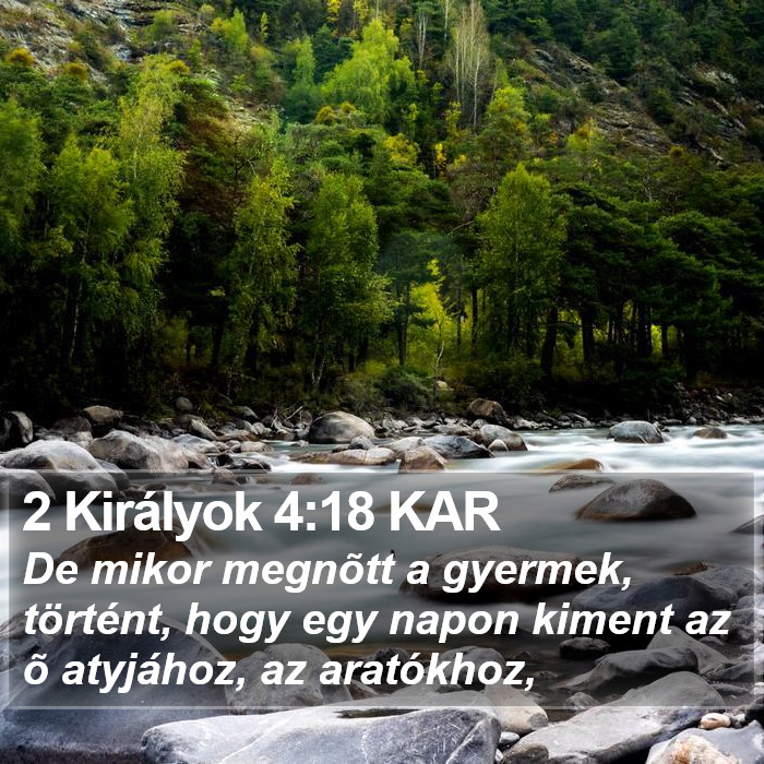 2 Királyok 4:18 KAR Bible Study