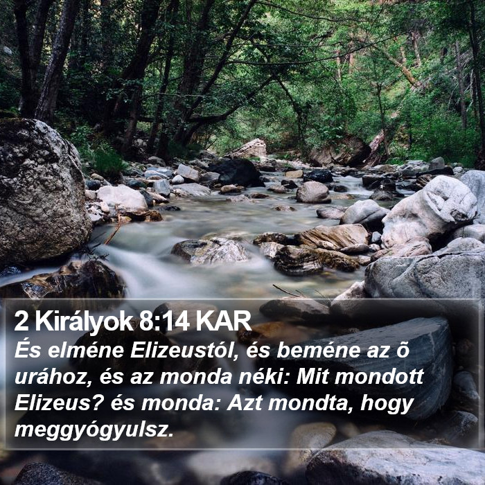 2 Királyok 8:14 KAR Bible Study