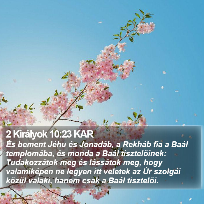 2 Királyok 10:23 KAR Bible Study