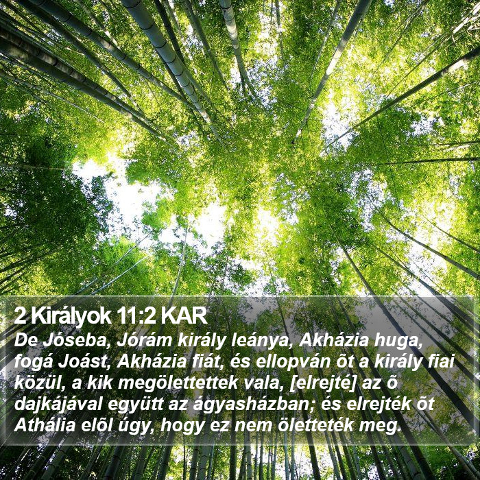 2 Királyok 11:2 KAR Bible Study