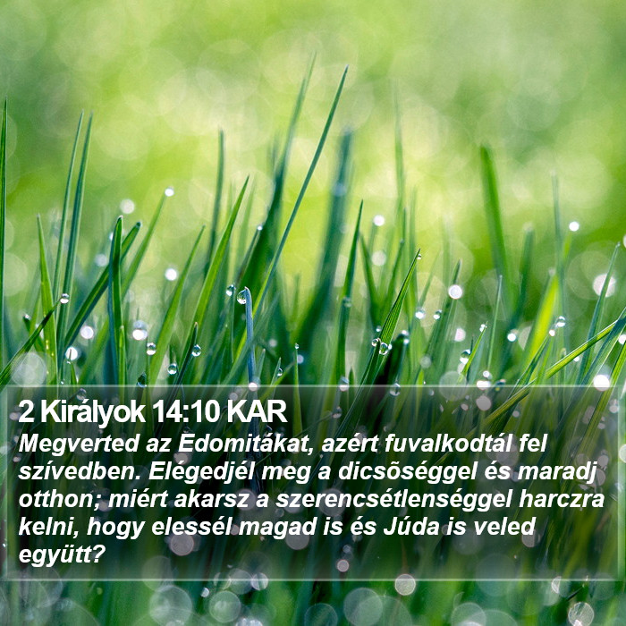 2 Királyok 14:10 KAR Bible Study