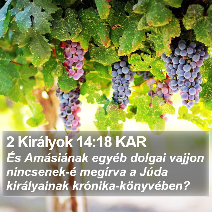 2 Királyok 14:18 KAR Bible Study