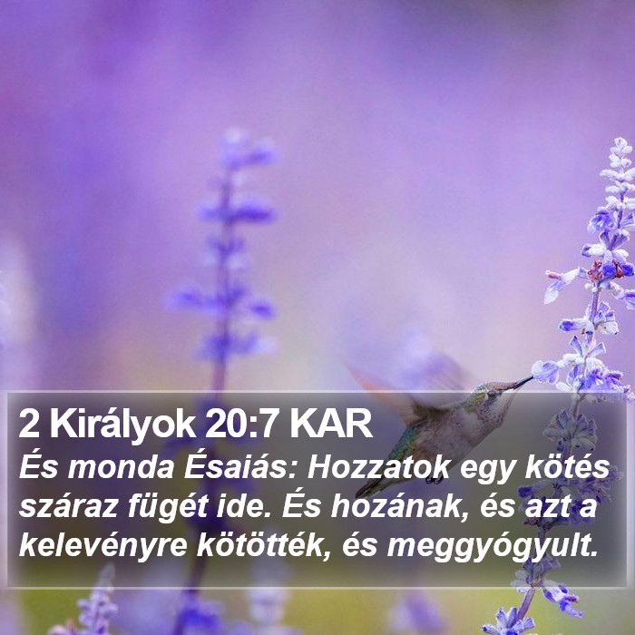 2 Királyok 20:7 KAR Bible Study