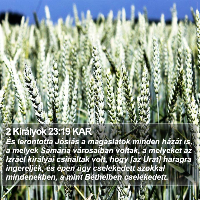 2 Királyok 23:19 KAR Bible Study