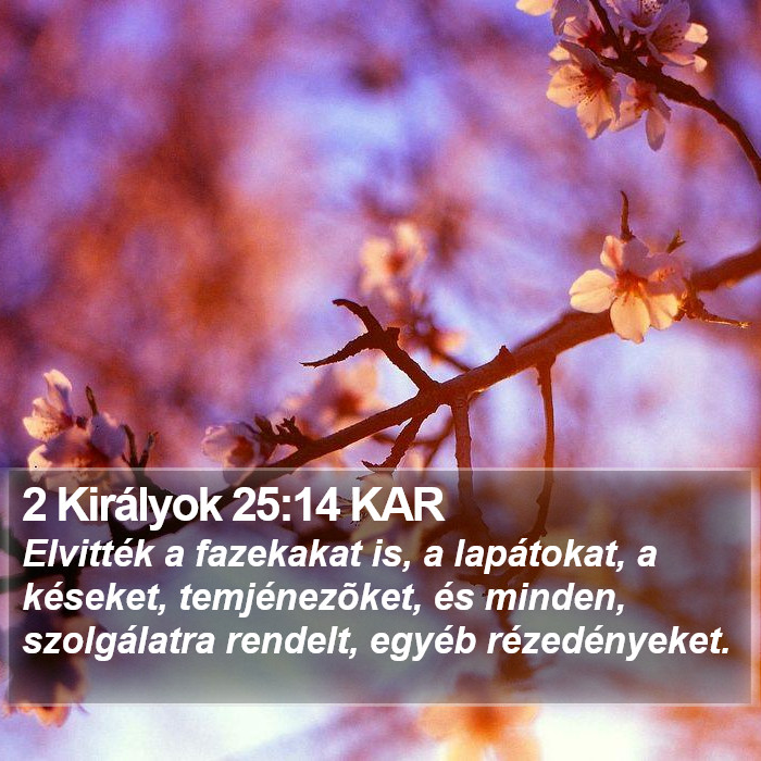 2 Királyok 25:14 KAR Bible Study