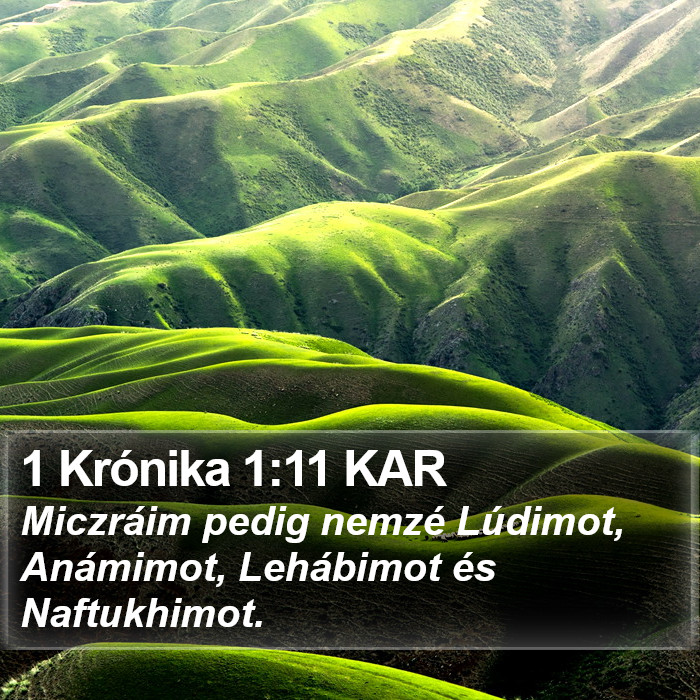 1 Krónika 1:11 KAR Bible Study