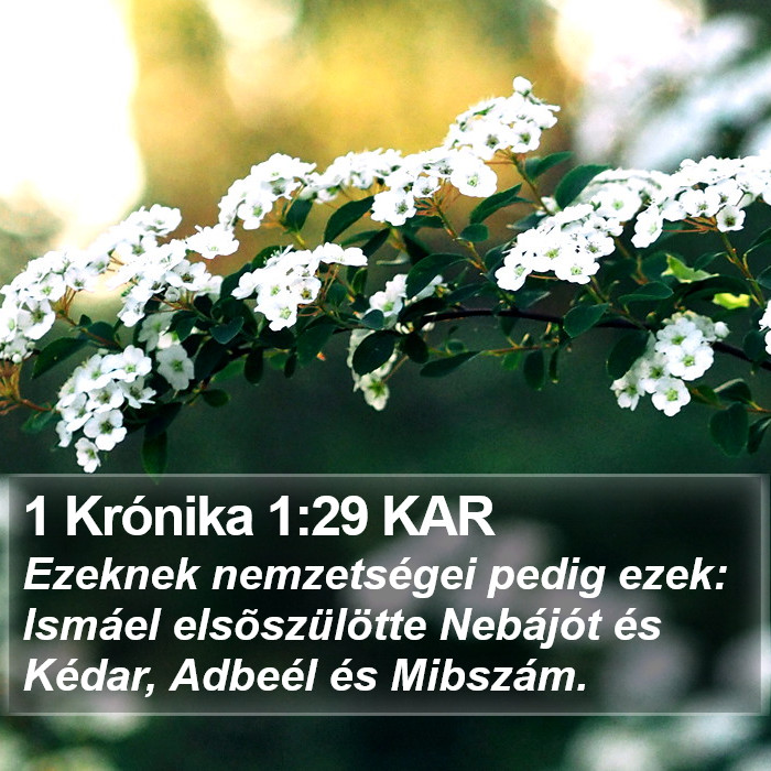 1 Krónika 1:29 KAR Bible Study