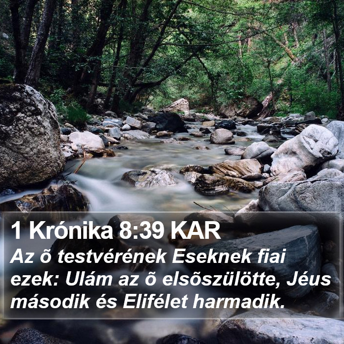 1 Krónika 8:39 KAR Bible Study