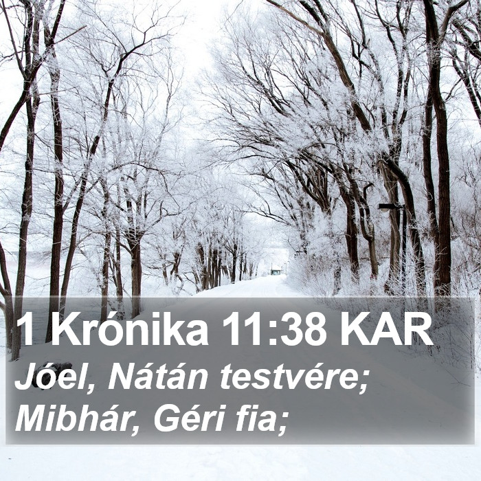 1 Krónika 11:38 KAR Bible Study