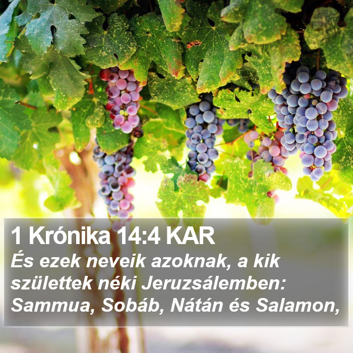 1 Krónika 14:4 KAR Bible Study