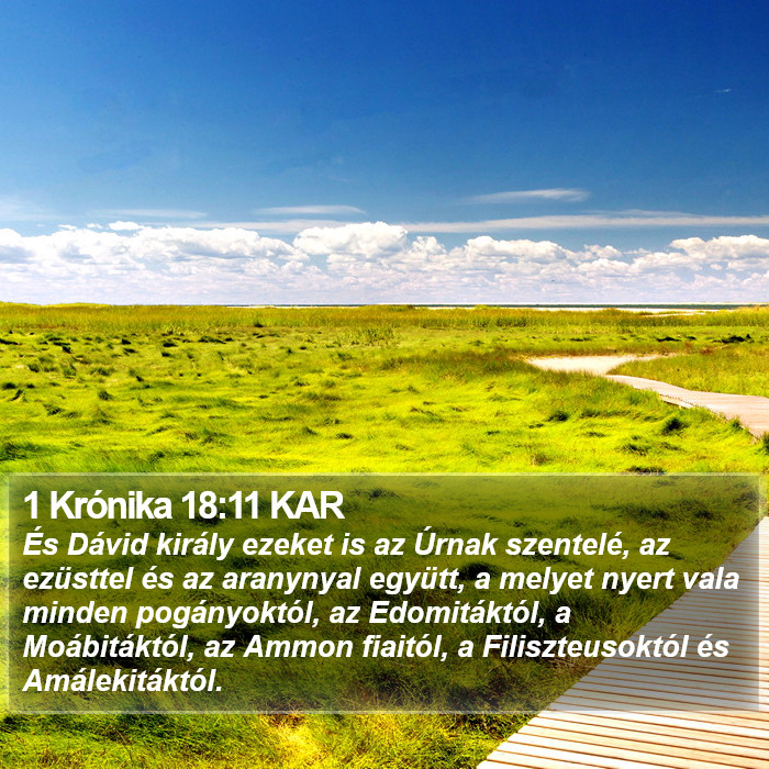 1 Krónika 18:11 KAR Bible Study