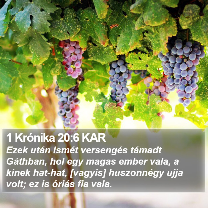 1 Krónika 20:6 KAR Bible Study