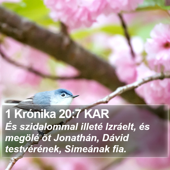 1 Krónika 20:7 KAR Bible Study