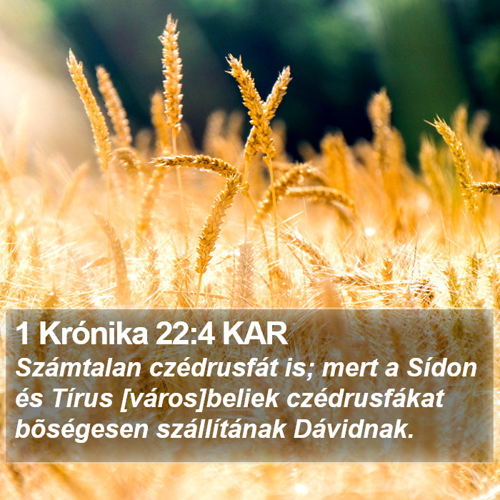 1 Krónika 22:4 KAR Bible Study