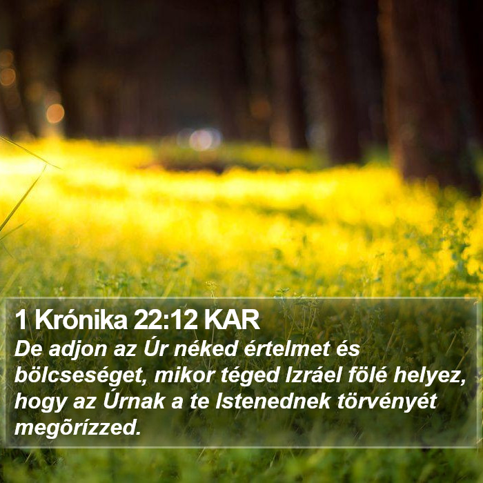 1 Krónika 22:12 KAR Bible Study