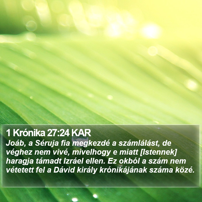 1 Krónika 27:24 KAR Bible Study