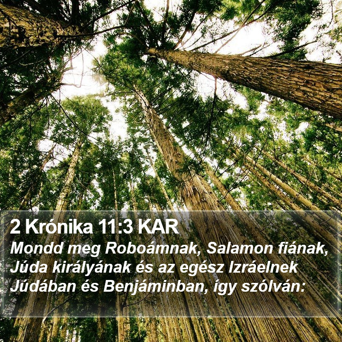 2 Krónika 11:3 KAR Bible Study