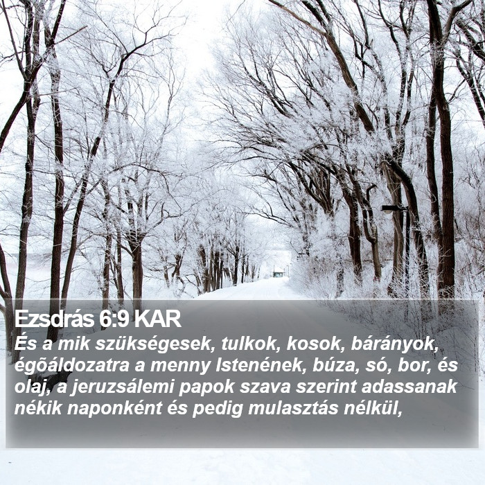 Ezsdrás 6:9 KAR Bible Study