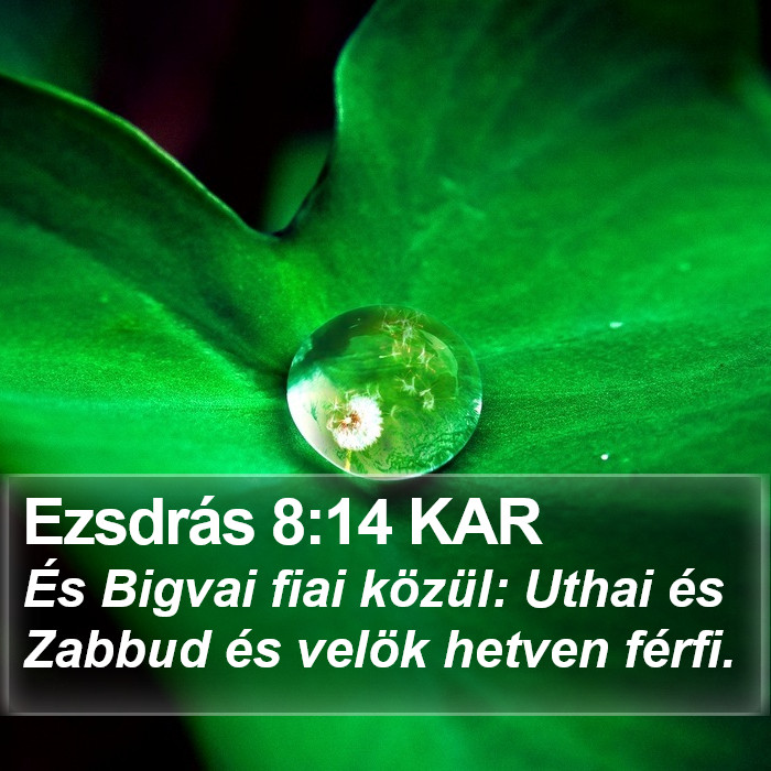 Ezsdrás 8:14 KAR Bible Study