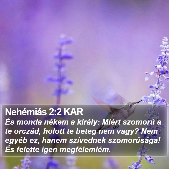 Nehémiás 2:2 KAR Bible Study