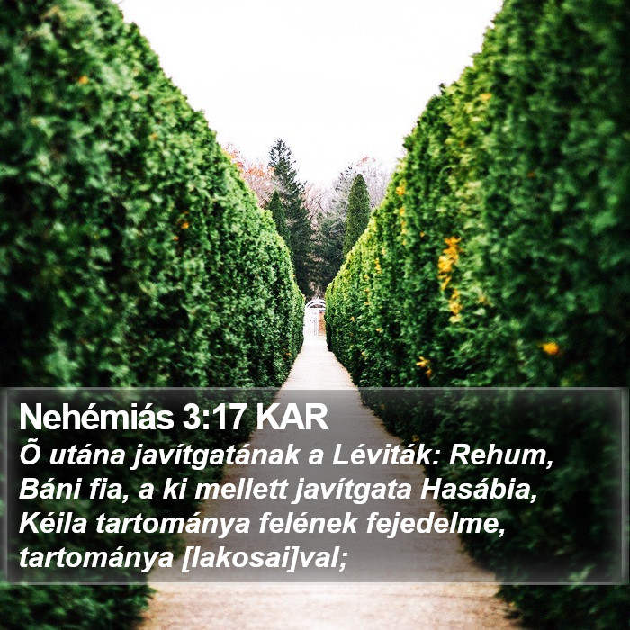 Nehémiás 3:17 KAR Bible Study