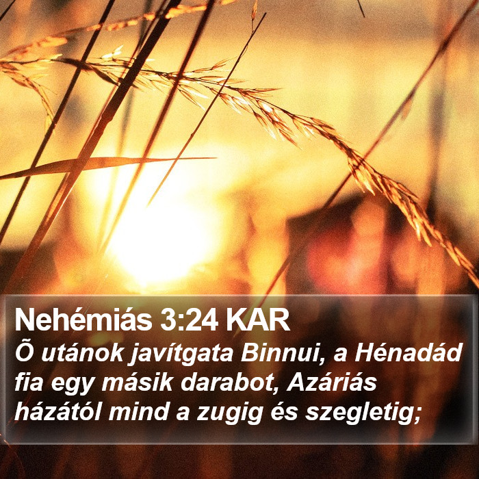 Nehémiás 3:24 KAR Bible Study