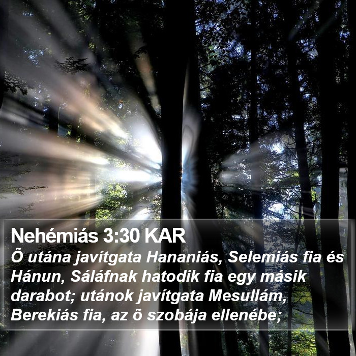 Nehémiás 3:30 KAR Bible Study