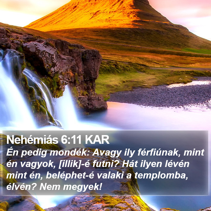 Nehémiás 6:11 KAR Bible Study