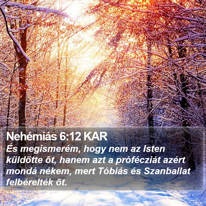 Nehémiás 6:12 KAR Bible Study