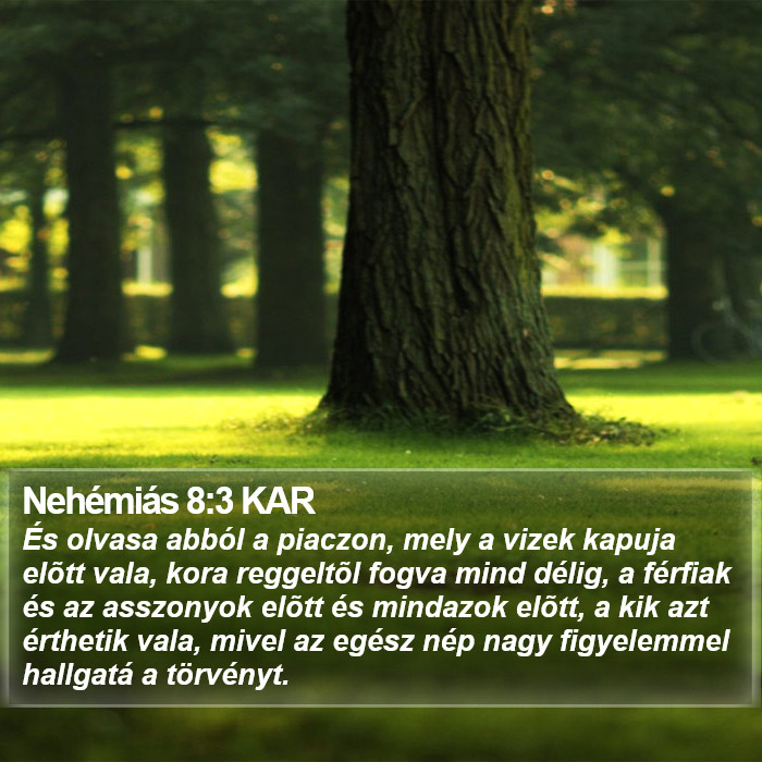 Nehémiás 8:3 KAR Bible Study