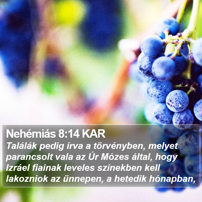Nehémiás 8:14 KAR Bible Study
