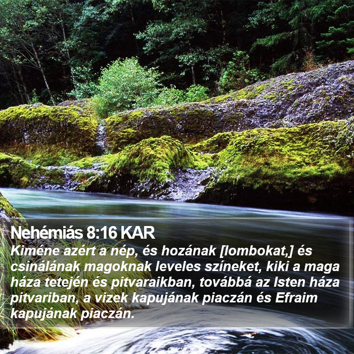 Nehémiás 8:16 KAR Bible Study