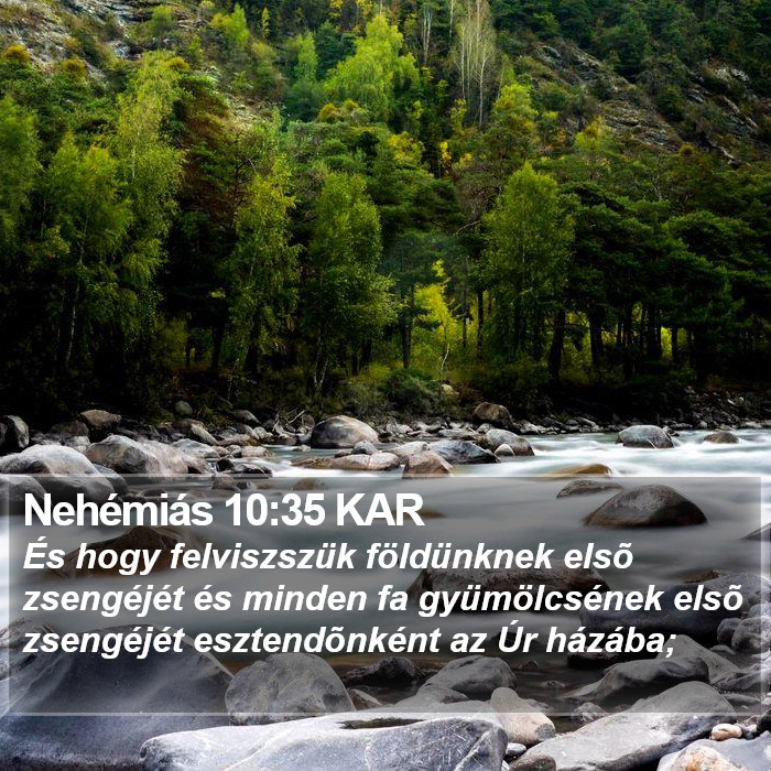 Nehémiás 10:35 KAR Bible Study