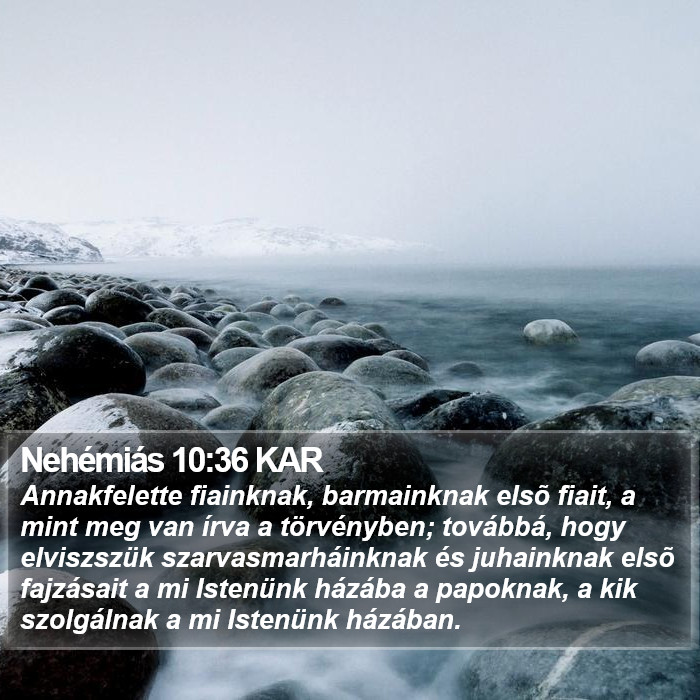 Nehémiás 10:36 KAR Bible Study