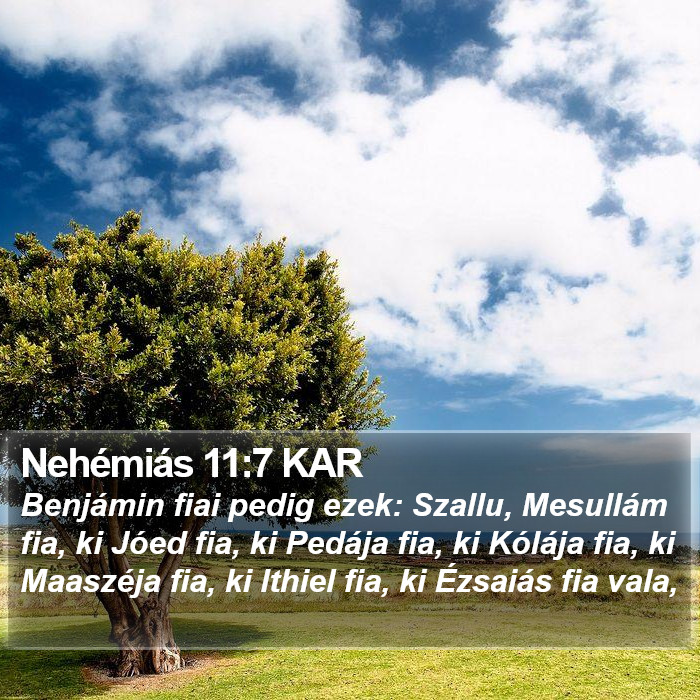 Nehémiás 11:7 KAR Bible Study