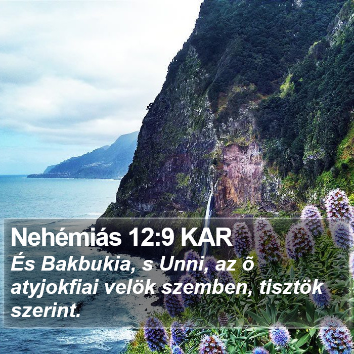 Nehémiás 12:9 KAR Bible Study