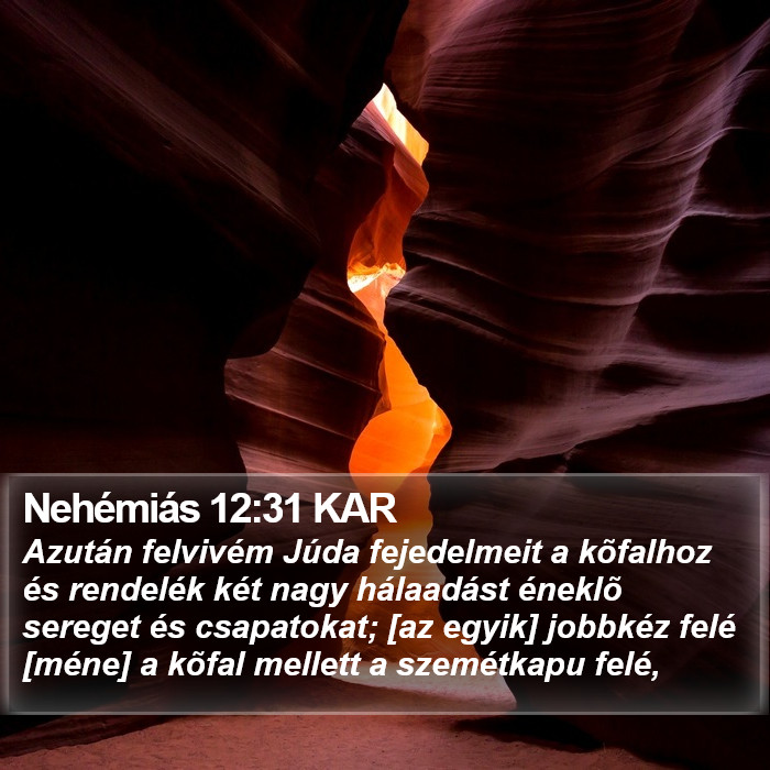 Nehémiás 12:31 KAR Bible Study